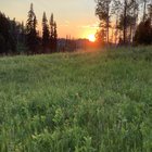 /cabins/thumbnails/007-image_123927839 (1).JPG.small.jpeg