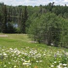/the-campsites/thumbnails/004-IMG_1882.JPG.small.jpeg
