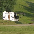 /the-campsites/thumbnails/008-IMG_1938.JPG.small.jpeg