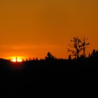 /the-resort/thumbnails/000-IMG_0509.JPG.small.jpeg