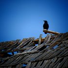 /the-resort/thumbnails/031-P1010434.JPG.small.jpeg